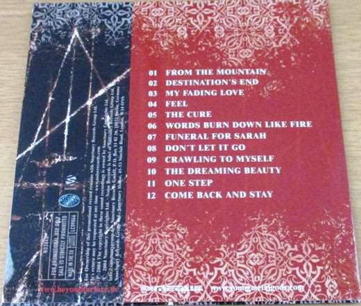 BEYOND SURFACE Destination`s End  [cardsleeve box]