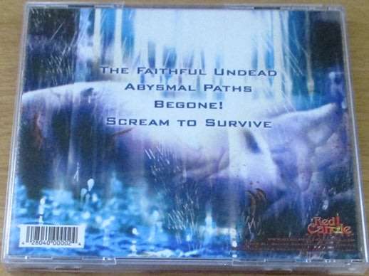SOLACE IN SHADOWS The Screaming to Survive EP   [Shelf G Box 19]