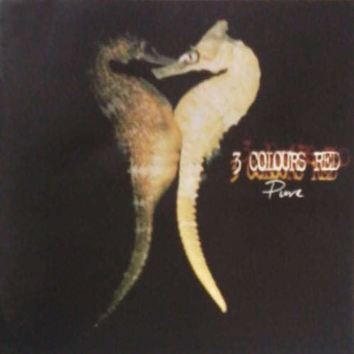 3 COLOURS RED Pure CD