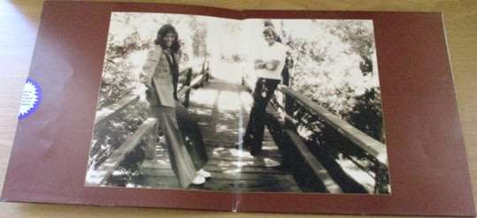 THE CARPENTERS The Singles 1969-1973  VINYL RECORD