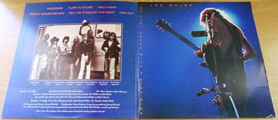 JOE WALSH Recorded Live You Can`t Argue with a Sick Mind VINYL RECORD