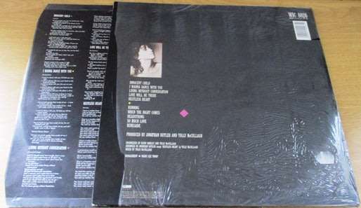 LESLEY RAE DOWLING  When the Night Comes VINYL LP Record