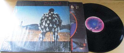 PINK FLOYD Delicate Sound of Thunder South African Pressing 2xLP VINYL RECORD