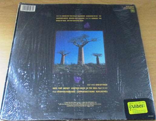 PINK FLOYD Delicate Sound of Thunder South African Pressing 2xLP VINYL RECORD