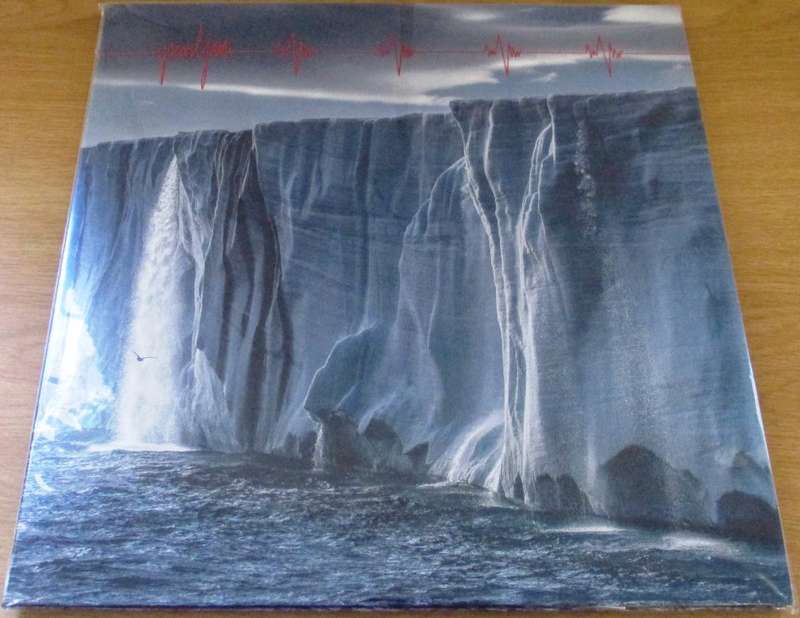 PEARL JAM Gigaton 2xLP VINYL LP RECORD
