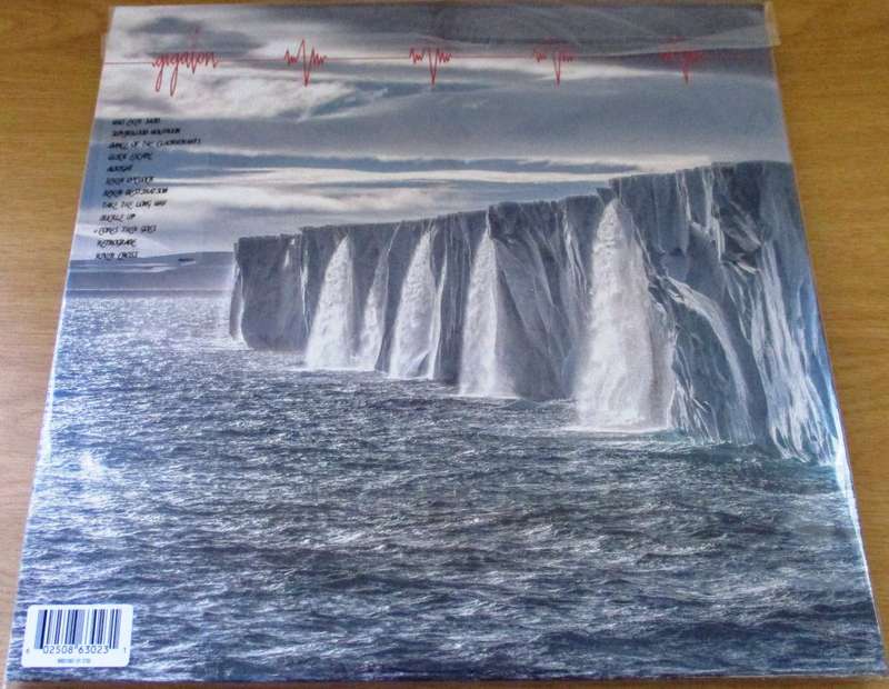 PEARL JAM Gigaton 2xLP VINYL LP RECORD