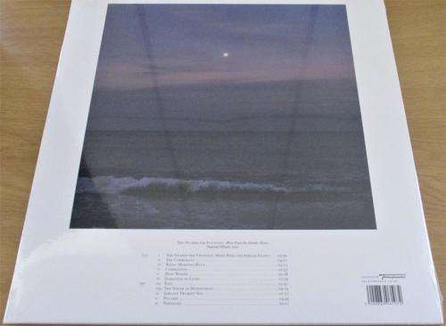 DAMON ALBARN [of BLUR] The Nearer The Fountain, More Pure The Stream Flows LP VINYL Record