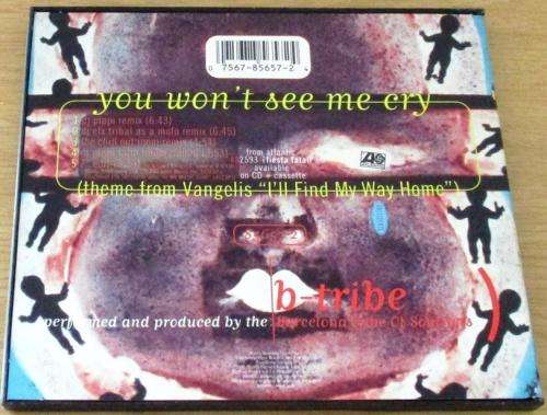 B-TRIBE You Won`t See Me Cry [theme from VANGELIS `I`ll Find my Way Home` [CD SINGLE BOX]