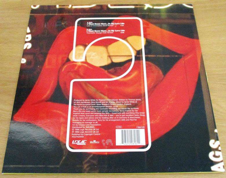 12` Maxi Dance Single : TZANT I Want Some More... In My Love Life 12` VINYL RECORD [HOUSE]