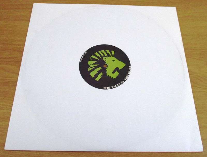 12` Maxi Dance Single: LIONROCK Project Now PROMO 4 Track PROMO 12` VINYL RECORD [TRIP HOP]