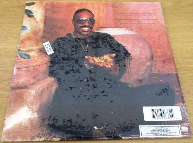 STEVIE WONDER In Square Circle VINYL Record [Shelf H]
