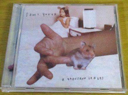 SONIC YOUTH A Thousand Leaves CD