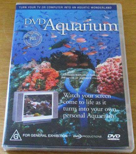 Seahorses DVD [BBOX 7]