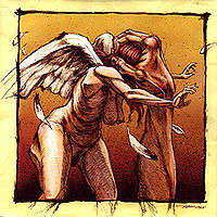 CONVERGE - THE POACHER DIARIES