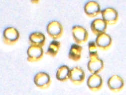 Gold tube 1.5mm crimp beads (50pcs)