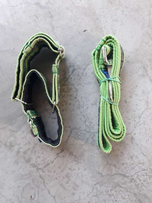 DOG TRAINING COLLAR  LEASH MED