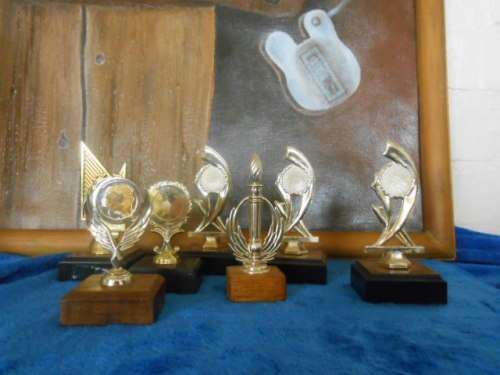 7 SMALL TROPHIES ON WOODEN BASES - PLASTIC TROPHIES 3