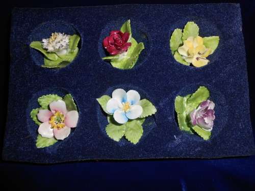 6x Royal Adderley Floral Place-Name Card Holders