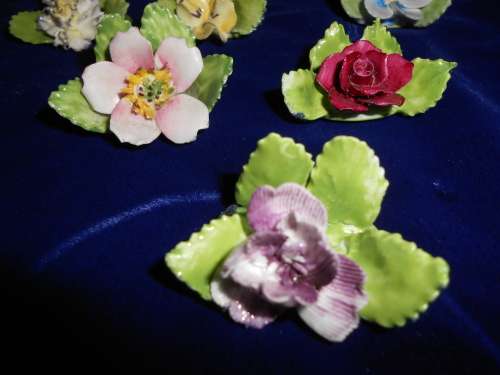 6x Royal Adderley Floral Place-Name Card Holders