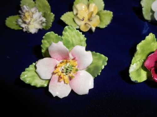 6x Royal Adderley Floral Place-Name Card Holders