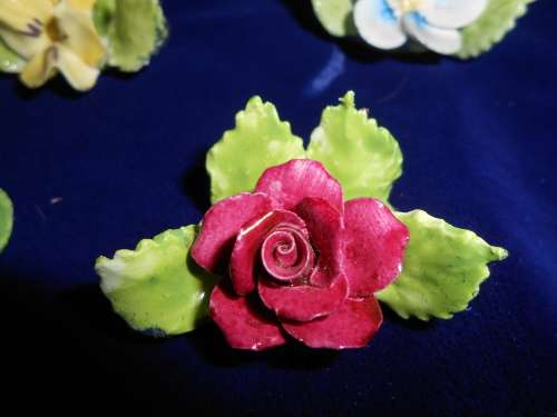6x Royal Adderley Floral Place-Name Card Holders