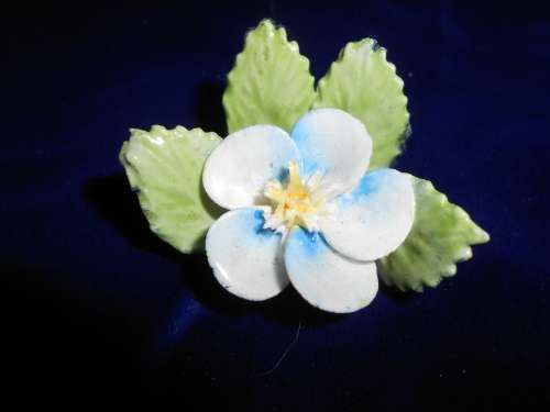 6x Royal Adderley Floral Place-Name Card Holders