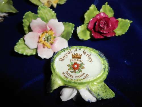 6x Royal Adderley Floral Place-Name Card Holders