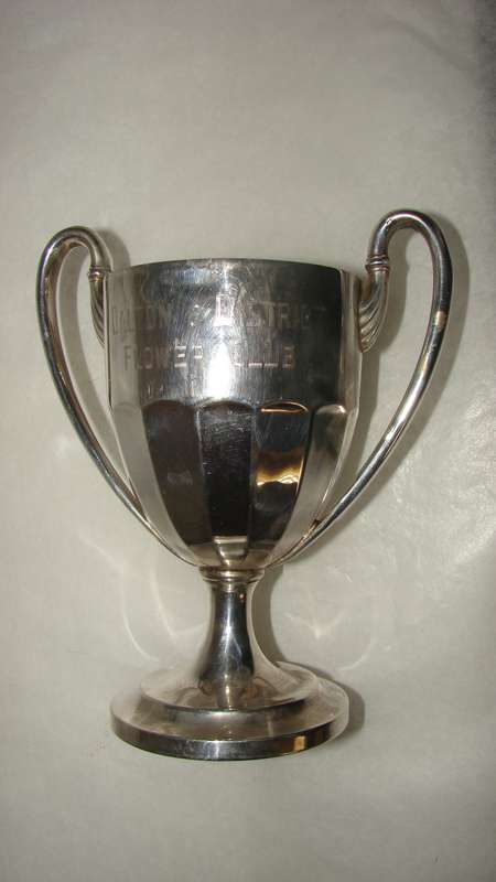 800 Silver Trophy  155g