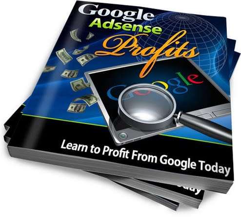 Google Adsense Profits