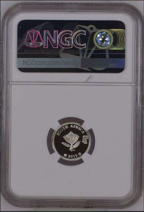 HOT FROM NGC - 2019 S.Africa Polymer Putty - Flypress Johannesburg Coin Show S2.5C PF69UC