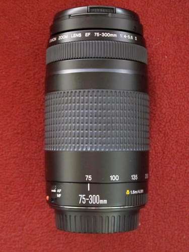 Canon EF 75-300mm ll Telephoto Zoom"Spotless"