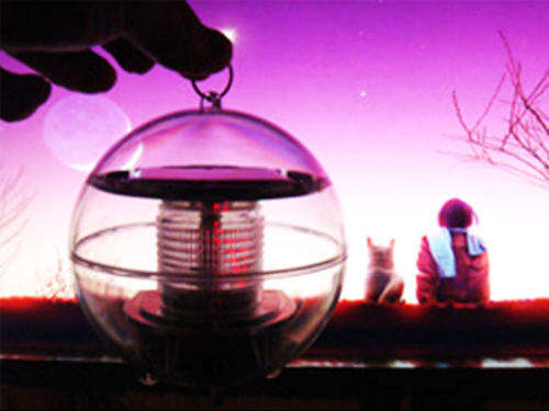 Solar-Powered Waterproof Color-Changing LED Garden Lamp**2 Units**