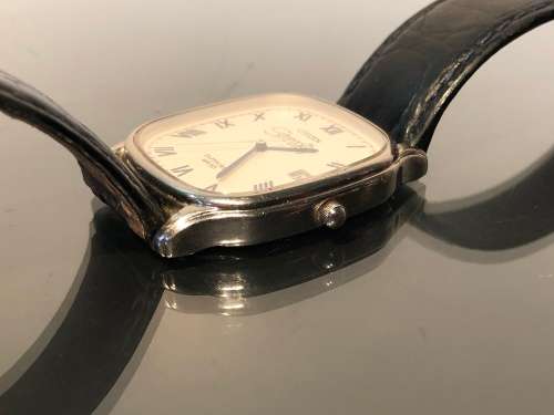 A Rare Citizen Mens Watch Sapphire WR 50 in collaboration with Stressless Co.
