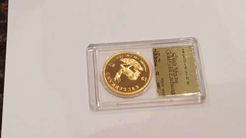 1987 Slabbed Gold 1oz Krugerrand Point Value 101