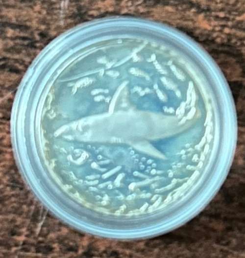 1999 Proof SILVER Tickey Coin, Great White Shark