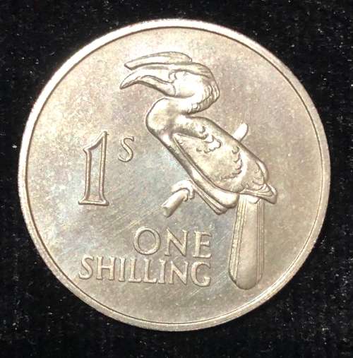 1964 Bank Of Zambia Three Coin Set.