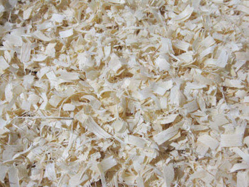 Pine Shavings