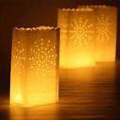 Paper Lantern Bags