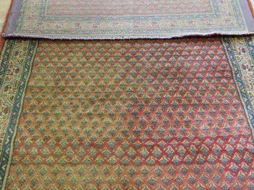CARPET