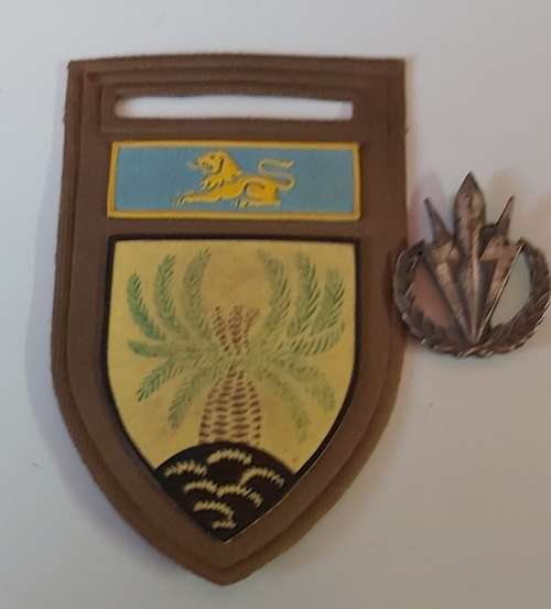 4 SAI tupper flash and beret badge