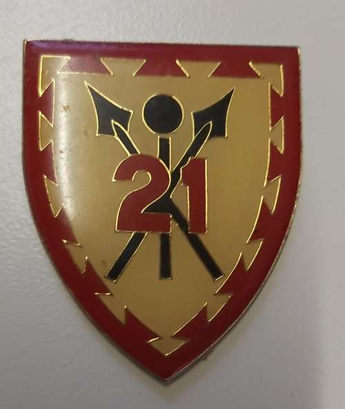 21 Battalion flash