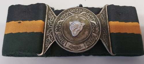 6 SAI Stable belt