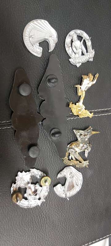 Various SADF Badges