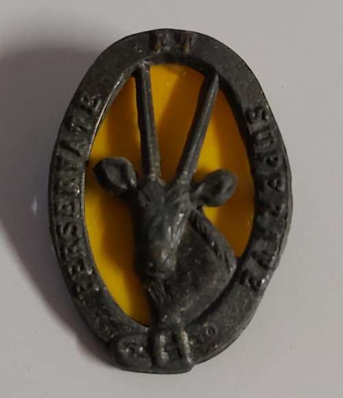 8 SAI Beret badge