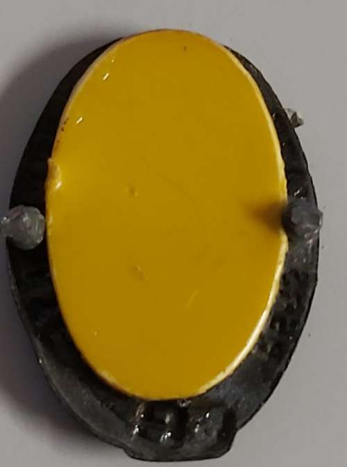 8 SAI Beret badge