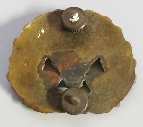 6SAI Beret badge