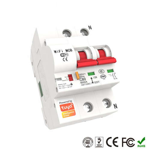 WIFI Control Smart Life Tuya 2P 40A 8800W MCB Switch Circuit Breaker