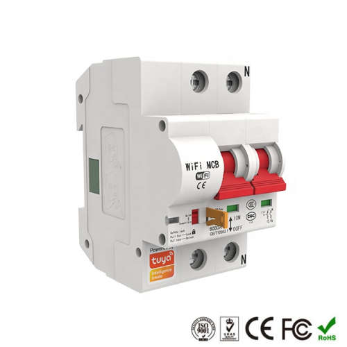 WIFI Control Smart Life Tuya 2P 40A 8800W MCB Switch Circuit Breaker