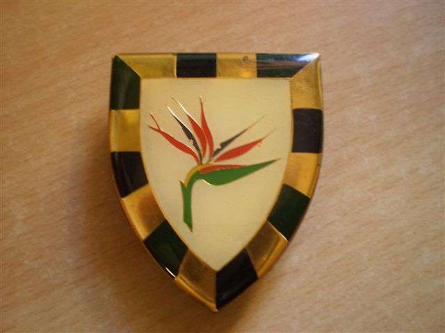 6th South African Infantry shoulder flash.