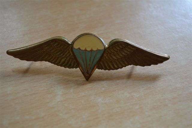SADF Parachute Wing.